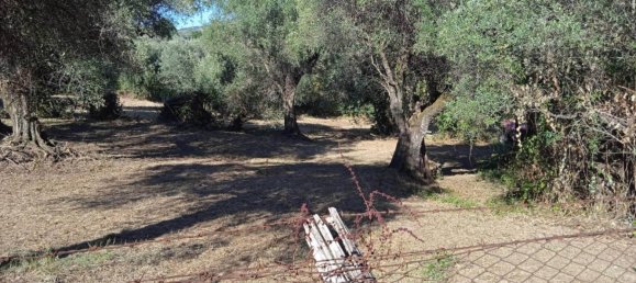 Grundstück in Montelibretti, Italy 2400m², Nr. 303303 6