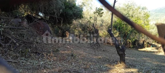 Grundstück in Montelibretti, Italy 2400m², Nr. 303303 12