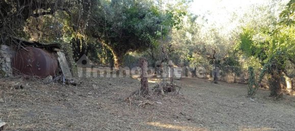 Grundstück in Montelibretti, Italy 2400m², Nr. 303303 4