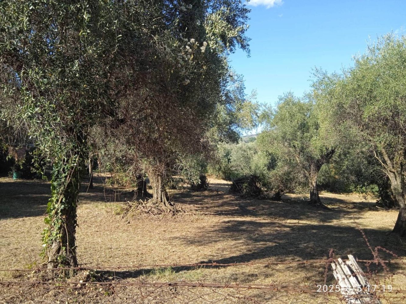 Grundstück in Montelibretti, Italy 2400m², Nr. 303303