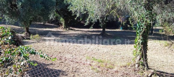 Grundstück in Montelibretti, Italy 2400m², Nr. 303303 7