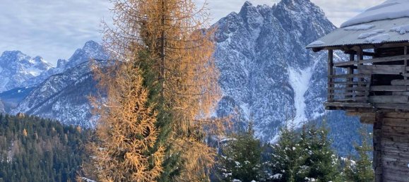 4-Zimmer Haus in Zell, Austria, Nr. 155186 3