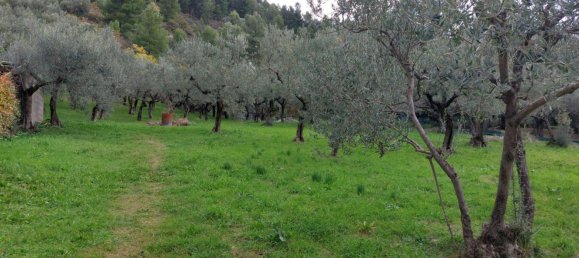 1400m² Land in Foligno, Italy No. 175494 4