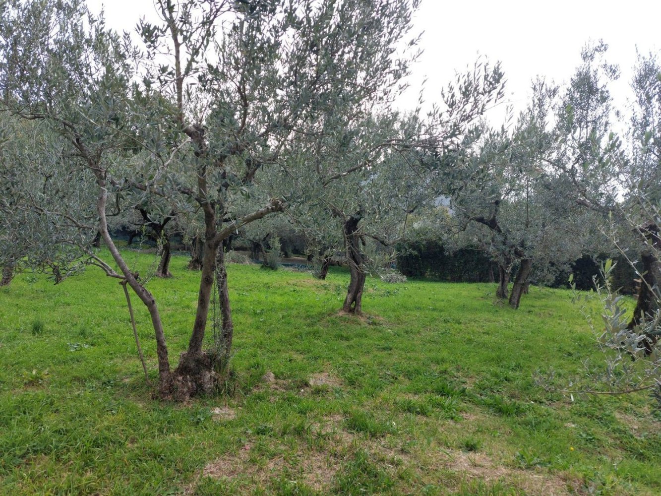 1400m² Land in Foligno, Italy No. 175494