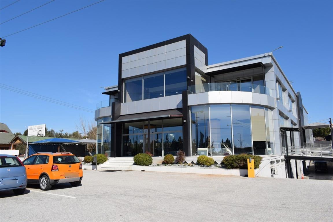 3000m² Maisonette in Thermi, Greece No. 5162