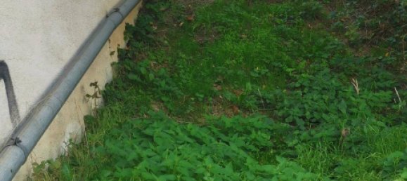 Propiedad comercial en St. Andra-Wordern, Austria 340 m² No. 168587 9