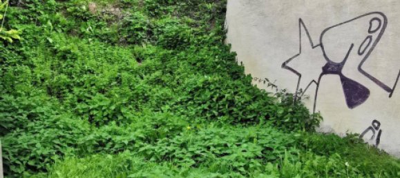 Propiedad comercial en St. Andra-Wordern, Austria 340 m² No. 168587 5