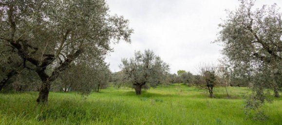 5-salle Villa à Impruneta, Italy No. 35401 5