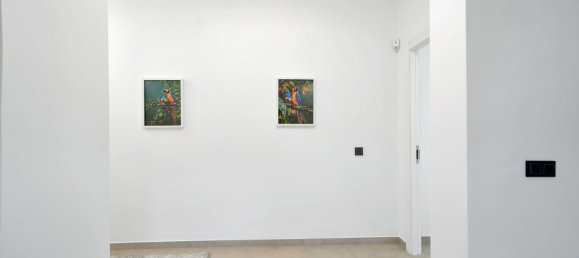 Villa T9 em Fuengirola, Spain N.º 135007 47