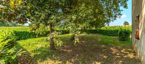 5 bedrooms Villa in Cardè, Italy No. 71575 10