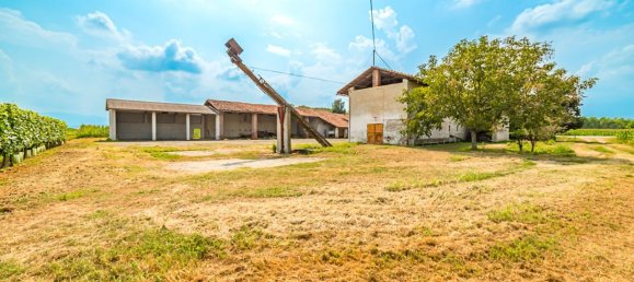 5 bedrooms Villa in Cardè, Italy No. 71575 15