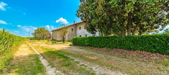 5 bedrooms Villa in Cardè, Italy No. 71575 11