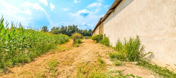 5 bedrooms Villa in Cardè, Italy No. 71575 19