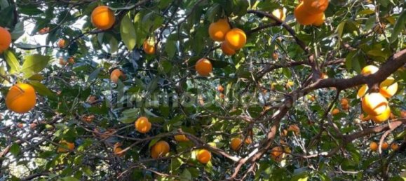 Grundstück in Sant'Ilario dello Ionio, Italy 3000m², Nr. 343597 4