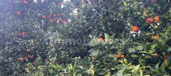 Grundstück in Sant'Ilario dello Ionio, Italy 3000m², Nr. 343597 3