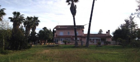 4 غرف نوم منزل في Friedrichshagen, Germany رقم 41431 5