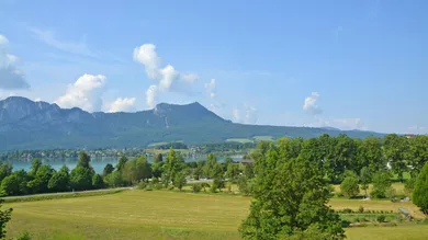  قطعة أرض في Mondsee, Austria رقم 113590