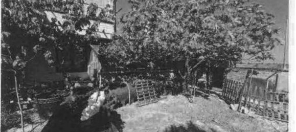 4 rooms Apartment in Chioggia, Italy No. 15466 14