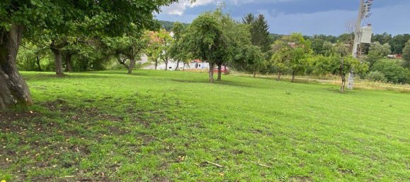 Grundstück in Nürnberger Land, Germany, Nr. 247255 3