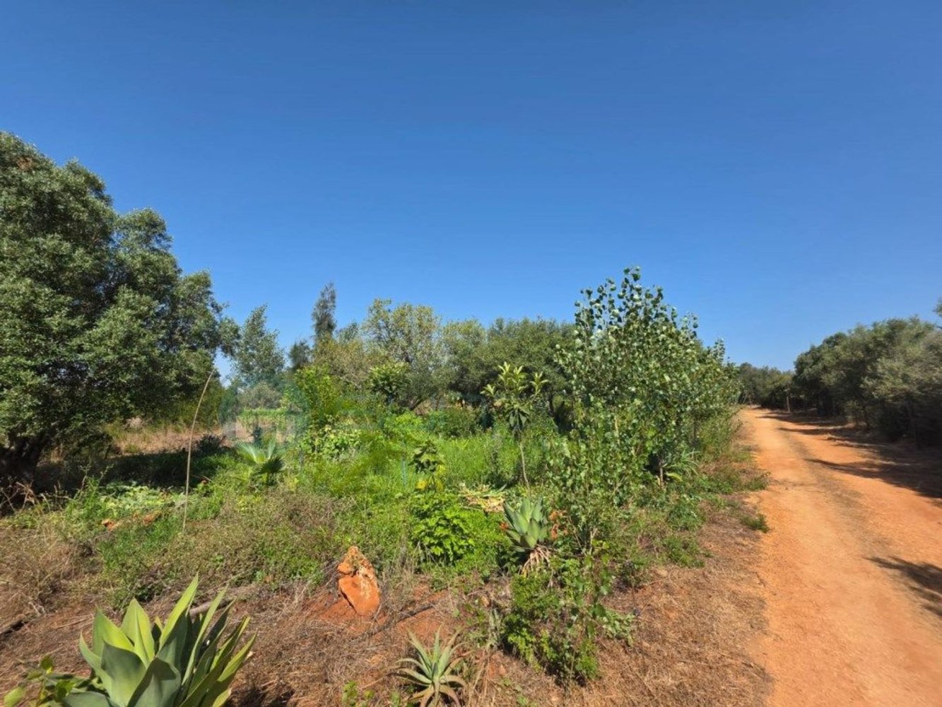 Terrain à Lagos, Portugal No. 299552