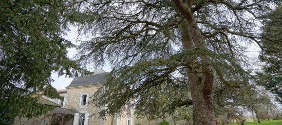  Castillos de 9 dormitorios en Sainte-Foy-la-Grande, France No. 361343 24