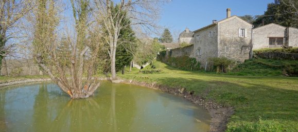  Castillos de 9 dormitorios en Sainte-Foy-la-Grande, France No. 361343 15