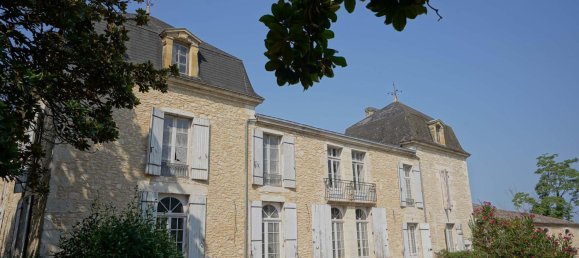  Castillos de 9 dormitorios en Sainte-Foy-la-Grande, France No. 361343 5