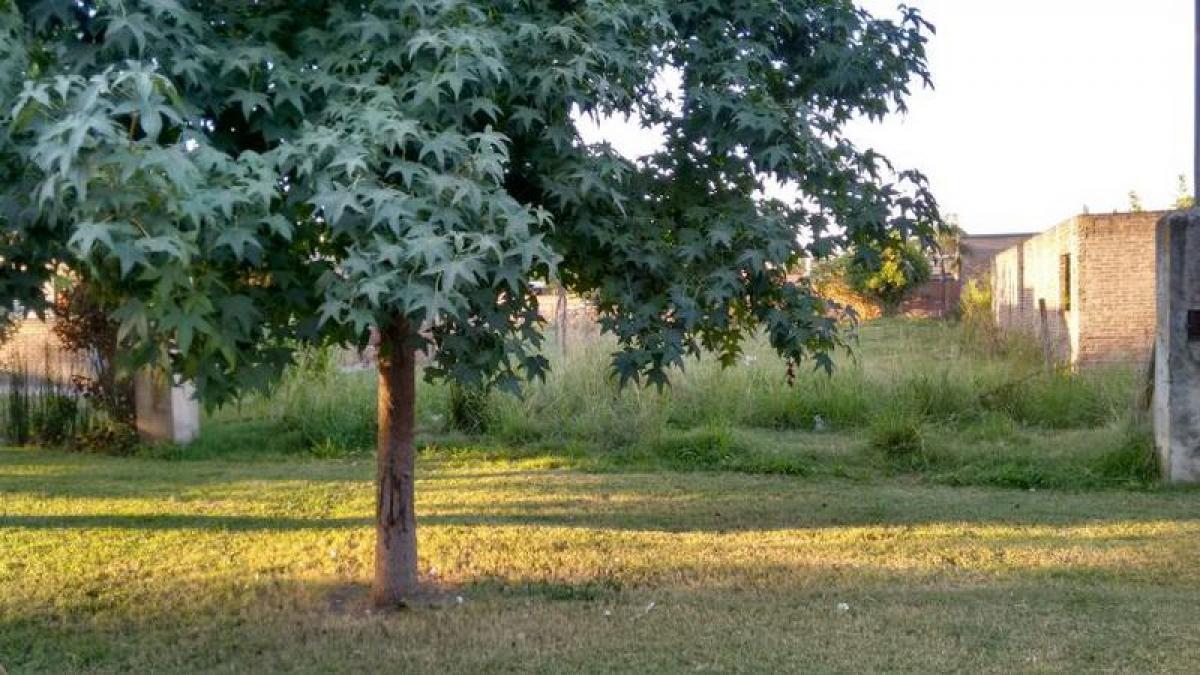  Farm in Santa Fe, Argentina No. 43248