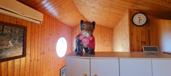 4 rooms House in Rimini, Italy No. 144106 9