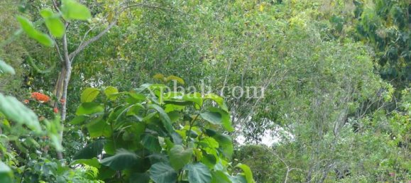 Terrain à South Kuta, Indonesia 2000m² No. 4133 8