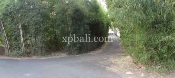 Terrain à South Kuta, Indonesia 2000m² No. 4133 6