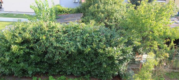 Casa de 4 dormitorios en Porto Viro, Italy No. 313318 6