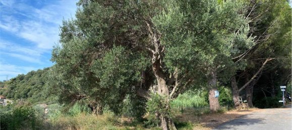 Terrain à Alassio, Italy 150m² No. 274096 8