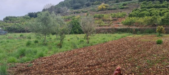 2 bedrooms House in Sagra, Spain No. 140335 12