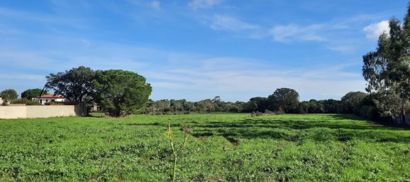 409m² Land in Sorede, France No. 118401 7