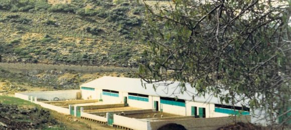 8 chambres Villa à Ronda, Spain No. 20509 6