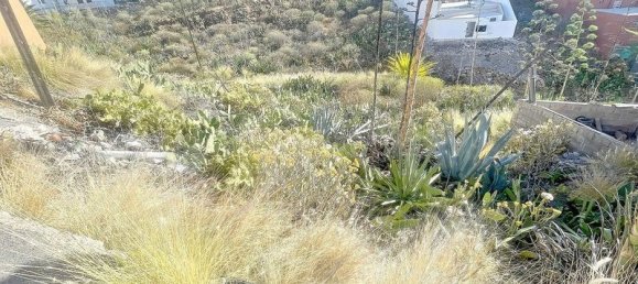 320m² Land in Adeje, Spain No. 230227 14