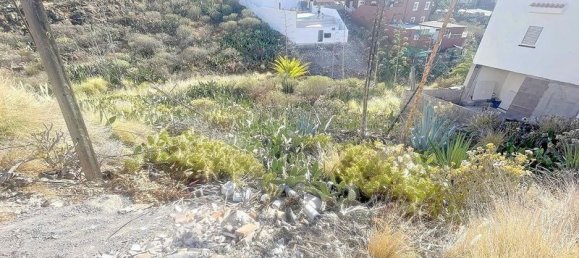 320m² Land in Adeje, Spain No. 230227 5