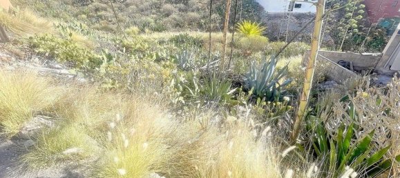 320m² Land in Adeje, Spain No. 230227 13