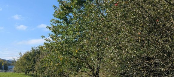 10غرفة منزل في Kindberg, Austria رقم 257028 3