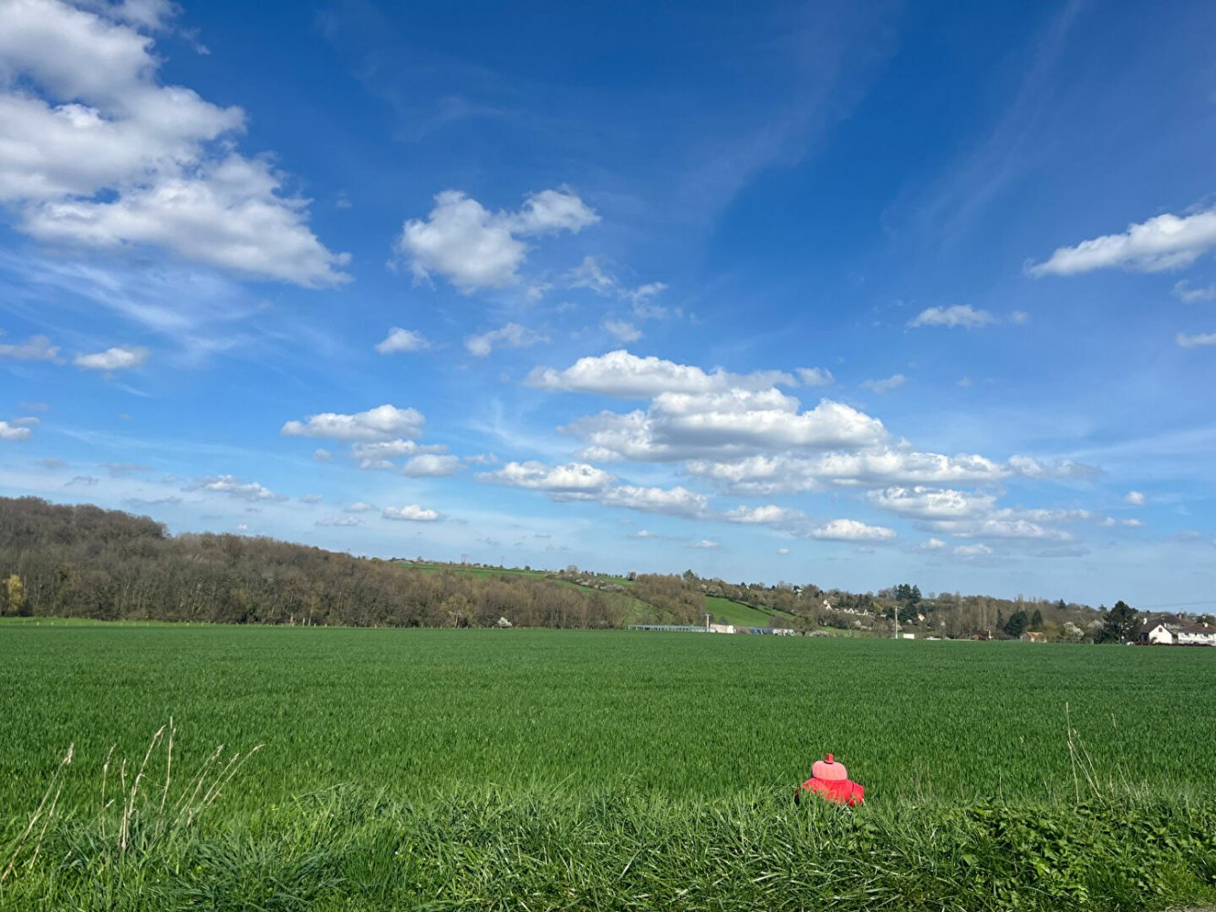 Terreno en Courtenay, France No. 72170