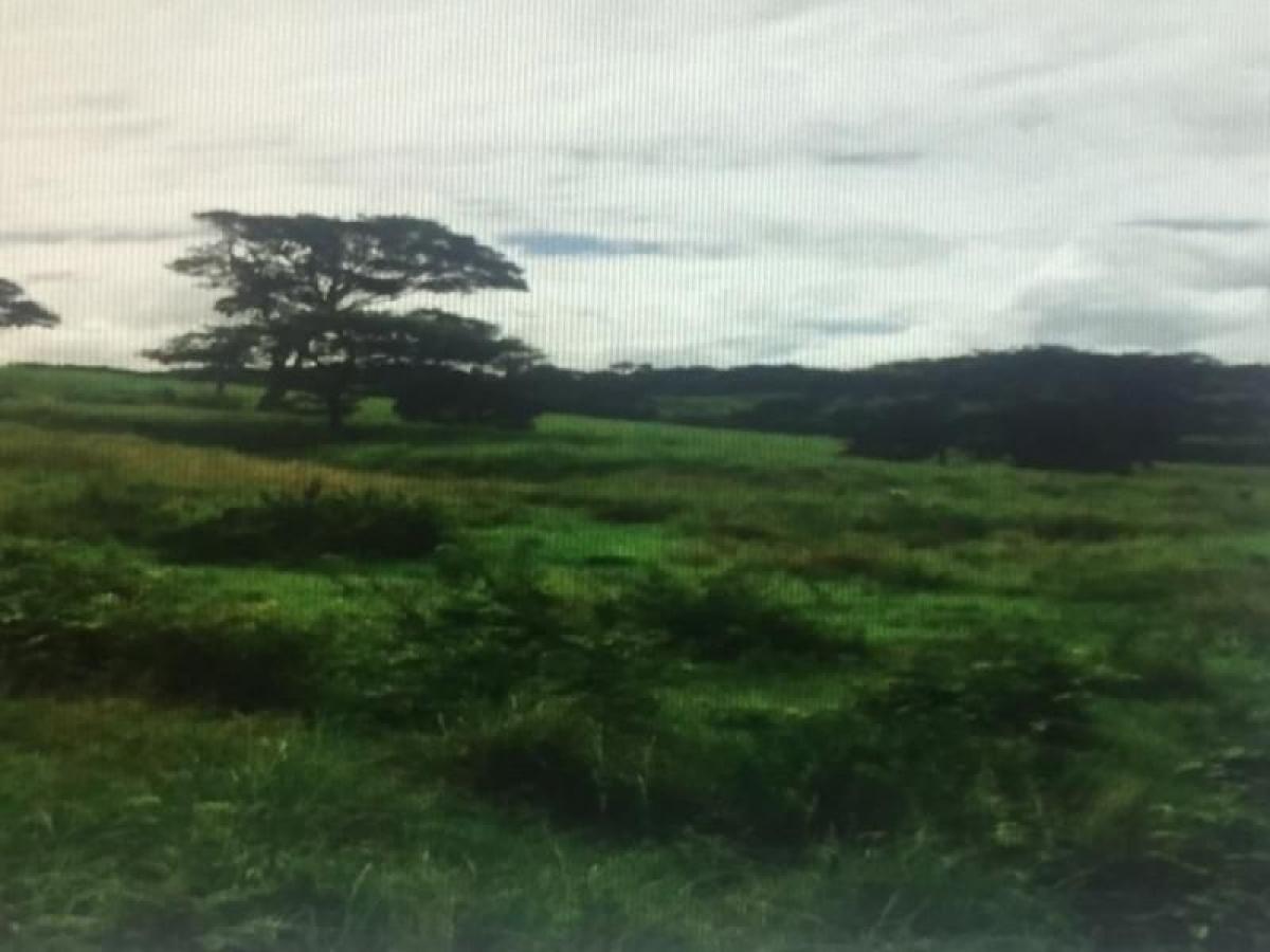 4 bedrooms House in Casanare, Colombia No. 6814