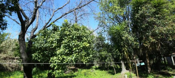 Casa T5 em Santa-Lucia-di-Moriani, France N.º 90340 2