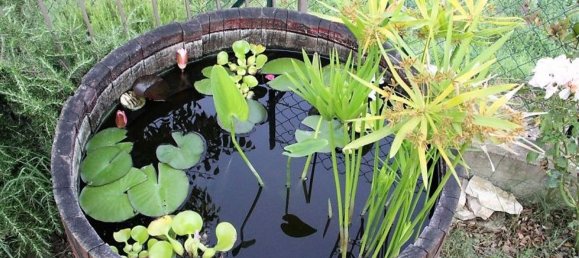 8-salle Maison à Orvieto, Italy No. 47353 14