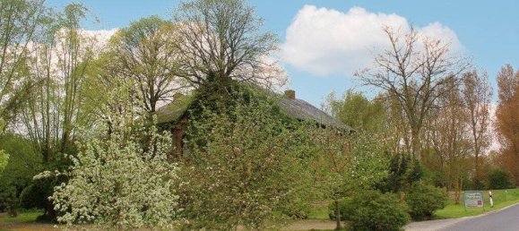 16 rooms Hotel in Dithmarschen, Germany No. 311058 10