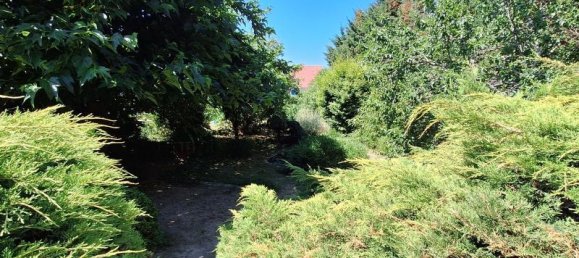 5 chambres Maison à Néris-les-Bains, France No. 302737 6