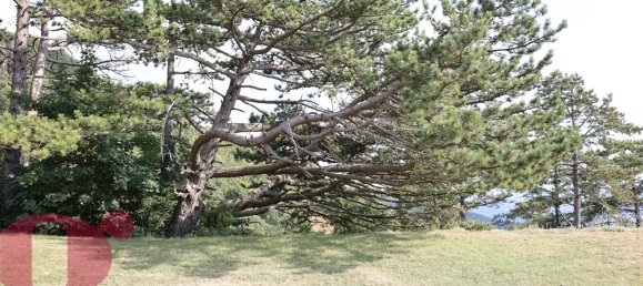 4 Schlafzimmer Schlösser in Todi, Italy, Nr. 392444 11