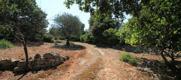 3 bedrooms Villa in Ostuni, Italy No. 381947 14