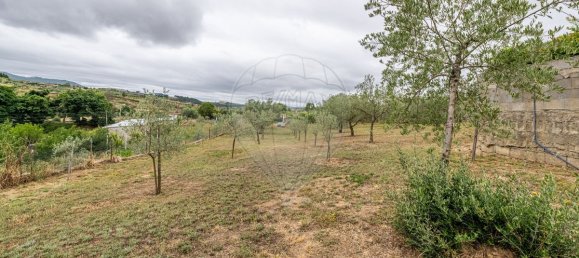 5 bedrooms House in Murca, Portugal No. 165649 44