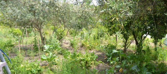 Casa de 5 dormitorios en Portalegre, Portugal No. 173530 8